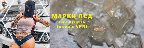 дживик Осташков