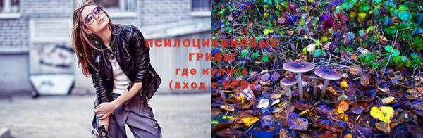 сатива Болохово