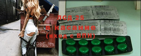 сатива Болохово
