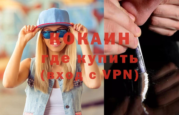 индика Болхов