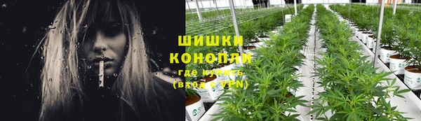 дживик Осташков