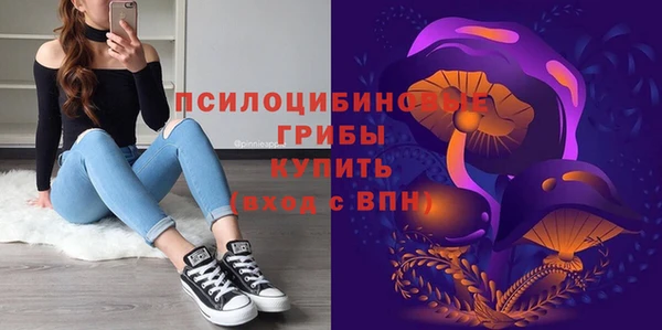 тгк Осинники