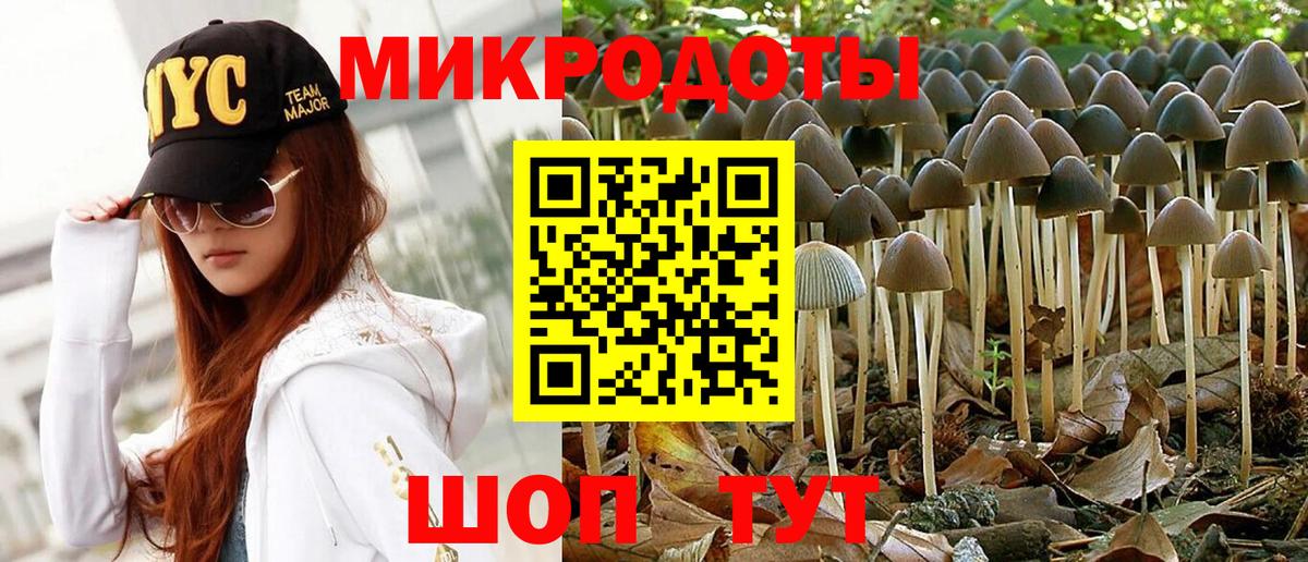 Псилоцибиновые грибы мицелий  Аша 