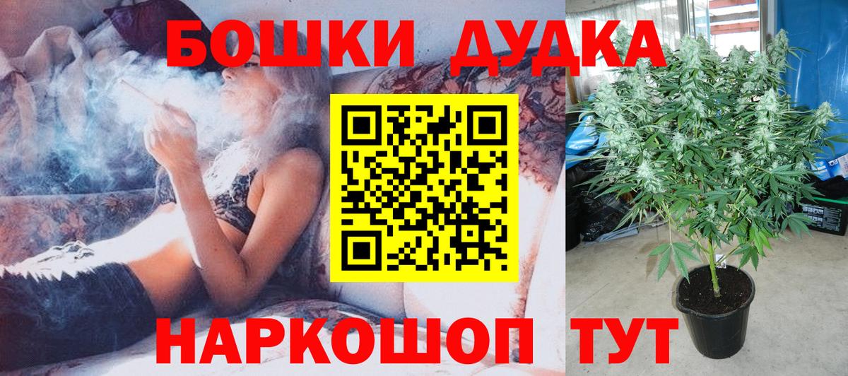 Бошки марихуана план Аша